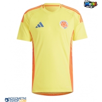 Moški Nogometni dresi Kolumbija Domači Copa America 2024 Kratek Rokav